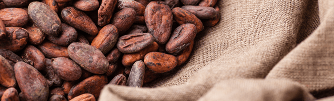 Easter: The Sourcing Problems in the Cocoa Industry