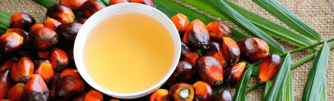 Sustainable Sourcing Challenges: Palm Oil